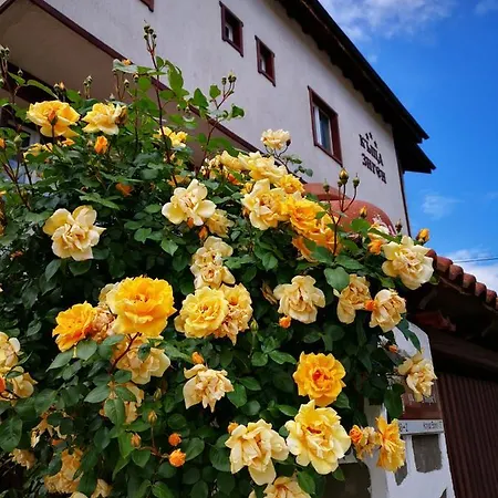 Zigen House Μπάνσκο