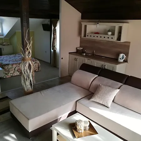 Πανσιόν Zigen House 3*