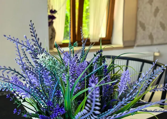 Къща за гости зиген къща Банско