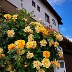 Zigen House Bansko
