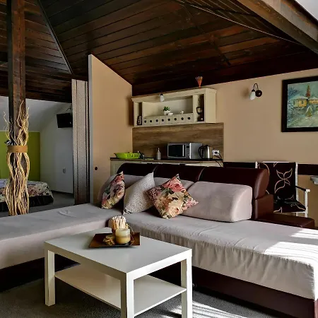 Zigen House Guest house