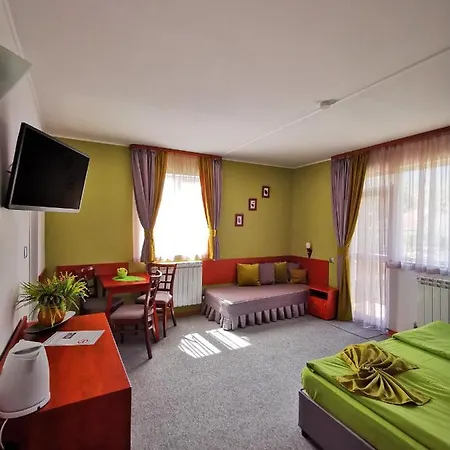 Pensjonat Zigen House