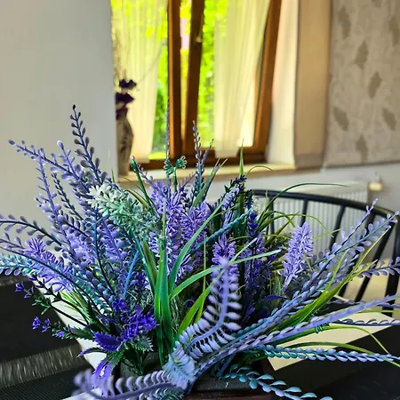 Guest house Zigen House Bansko