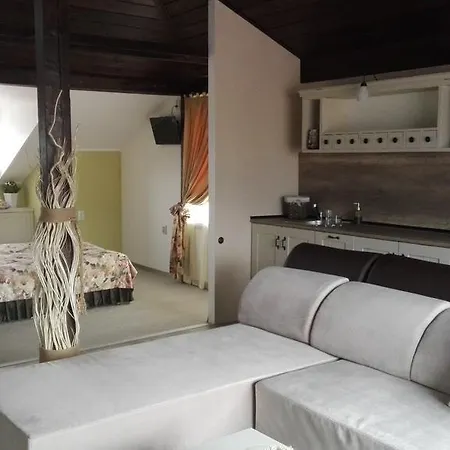 Affittacamere Zigen House Bansko
