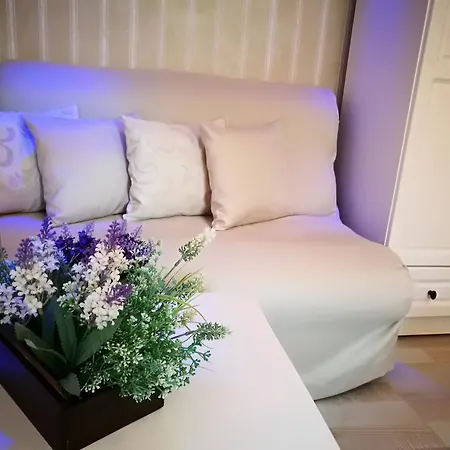 Zigen House בית הארחה 3*